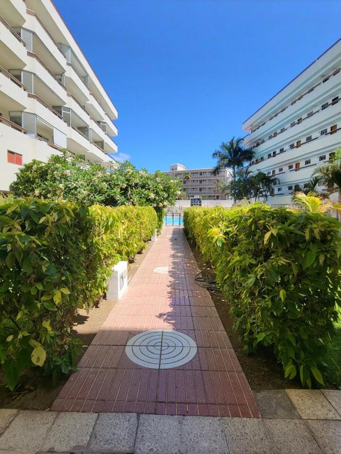 Las Camelias Apartments Playa del Ingles  Exterior photo